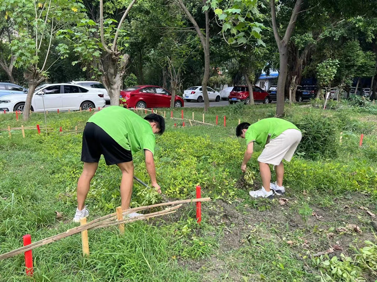 豐收季來襲！新華農(nóng)場喜迎豐收季~